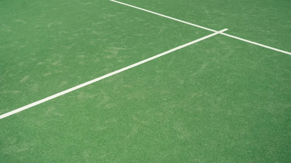 樊振东恢复性训练提速引发国乒男队主力竞争新格局 | XINGKONGSPORTS