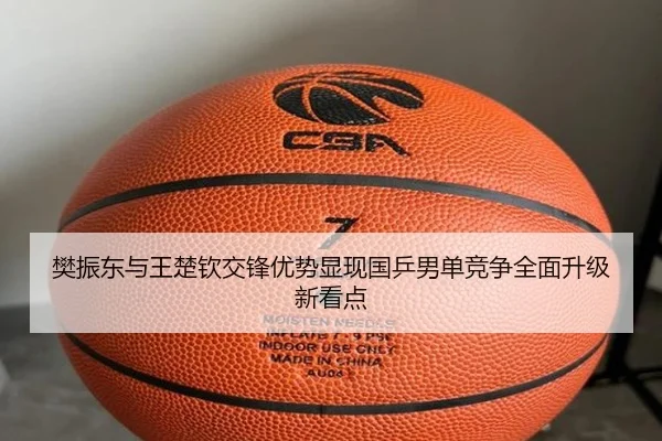 樊振东与王楚钦交锋优势显现国乒男单竞争全面升级新看点